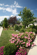 Schlick Design Group 2007 LINLA Award Winner  Environmental Enhancement Award Winner GOLD AWARD - Commercial Category