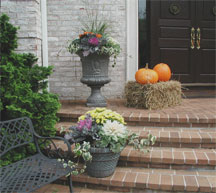 Schlick Design Group - Fall Planting