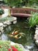 Ponds & Waterfalls