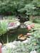 Ponds & Waterfalls